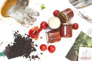 salsa-italiana-de-tomate-col-and-col
