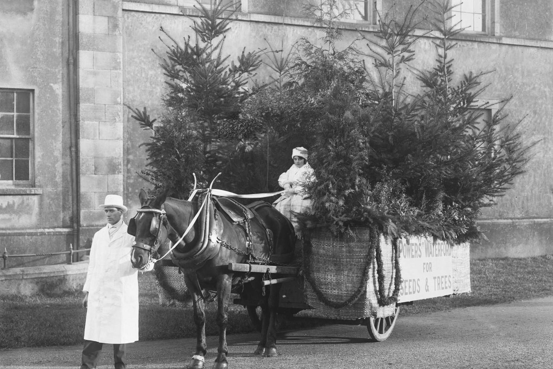 fiesta gastronómica col and col