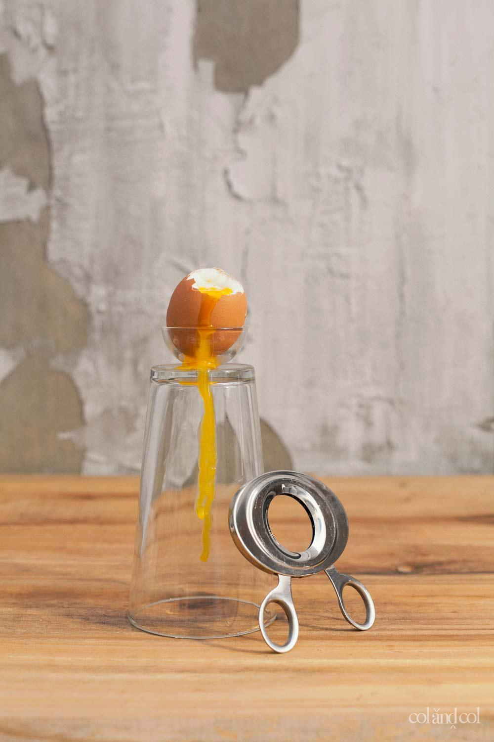 huevo visto col and col