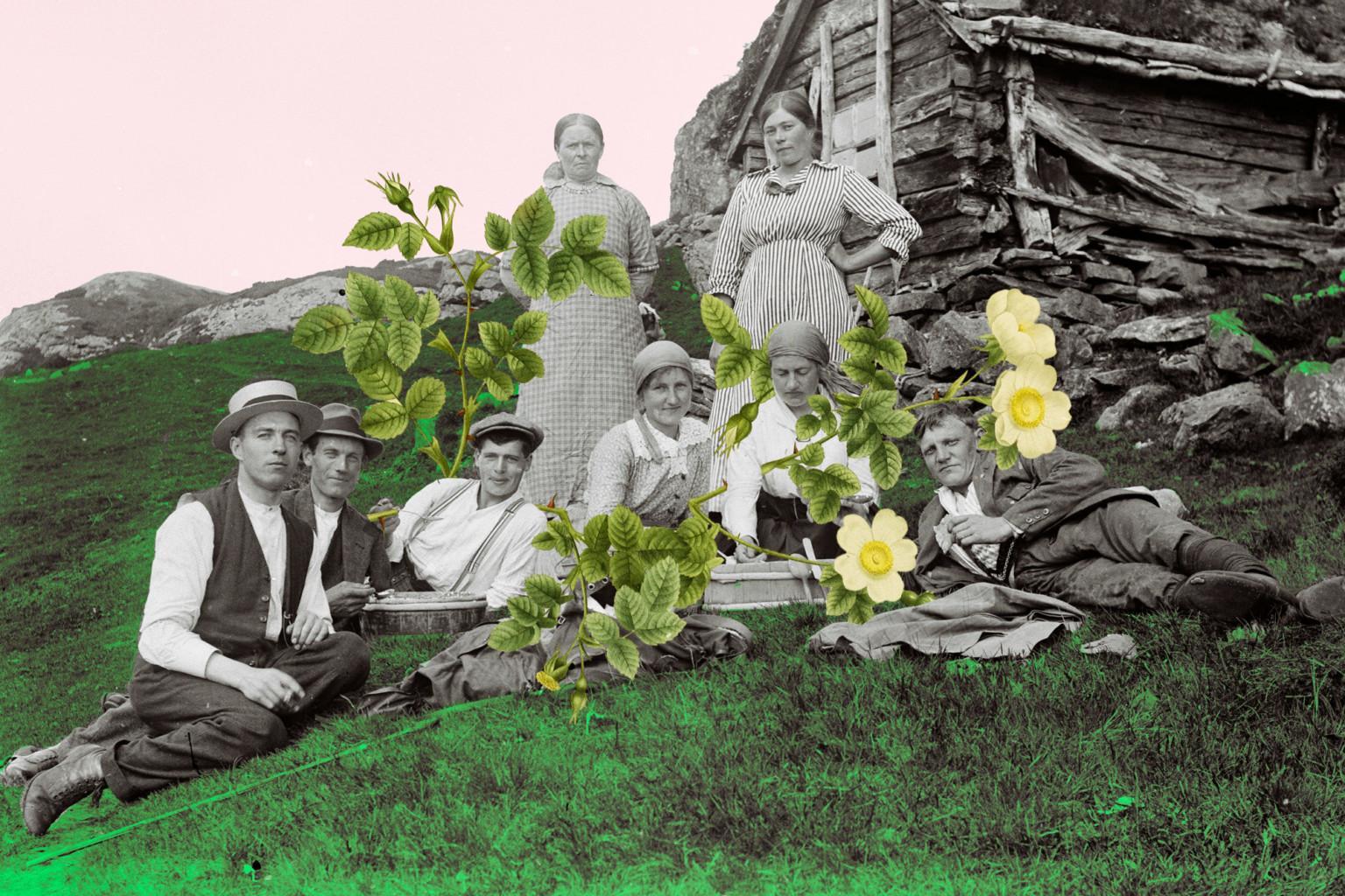 colandcol-Picnic-1-32-1536x1024